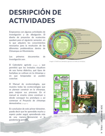 Servicio Social 106. Chinampas 英文 Movimiento. 第 6 页