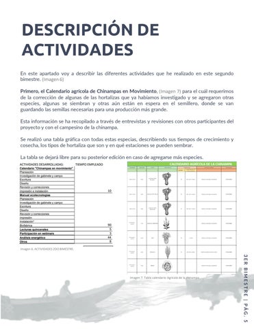 Servicio Social 106. Chinampas 英文 Movimiento. 第 7 页