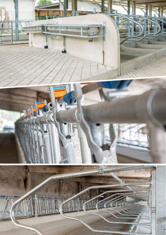 Agriben Srl - Attrezzature per la zootecnica 第 6 页