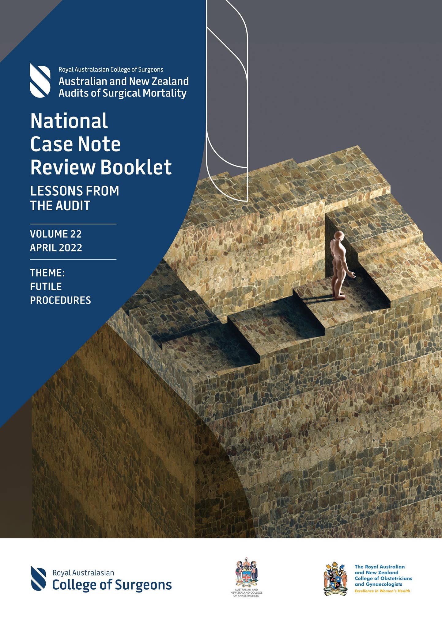 Case Note Review National Case Note Review Booklet | Volume 22 | April 2022 by maxgecko ...