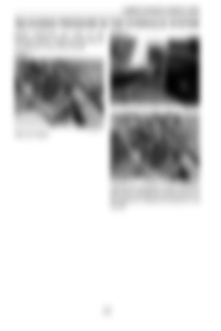 Page 242
