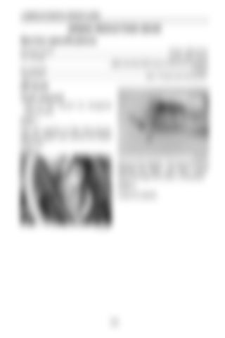 Page 257