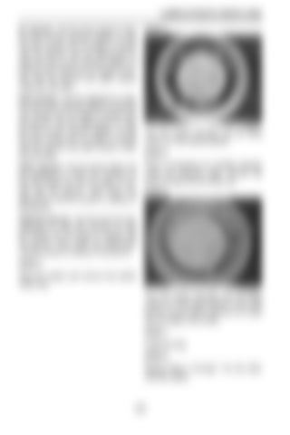 Page 262