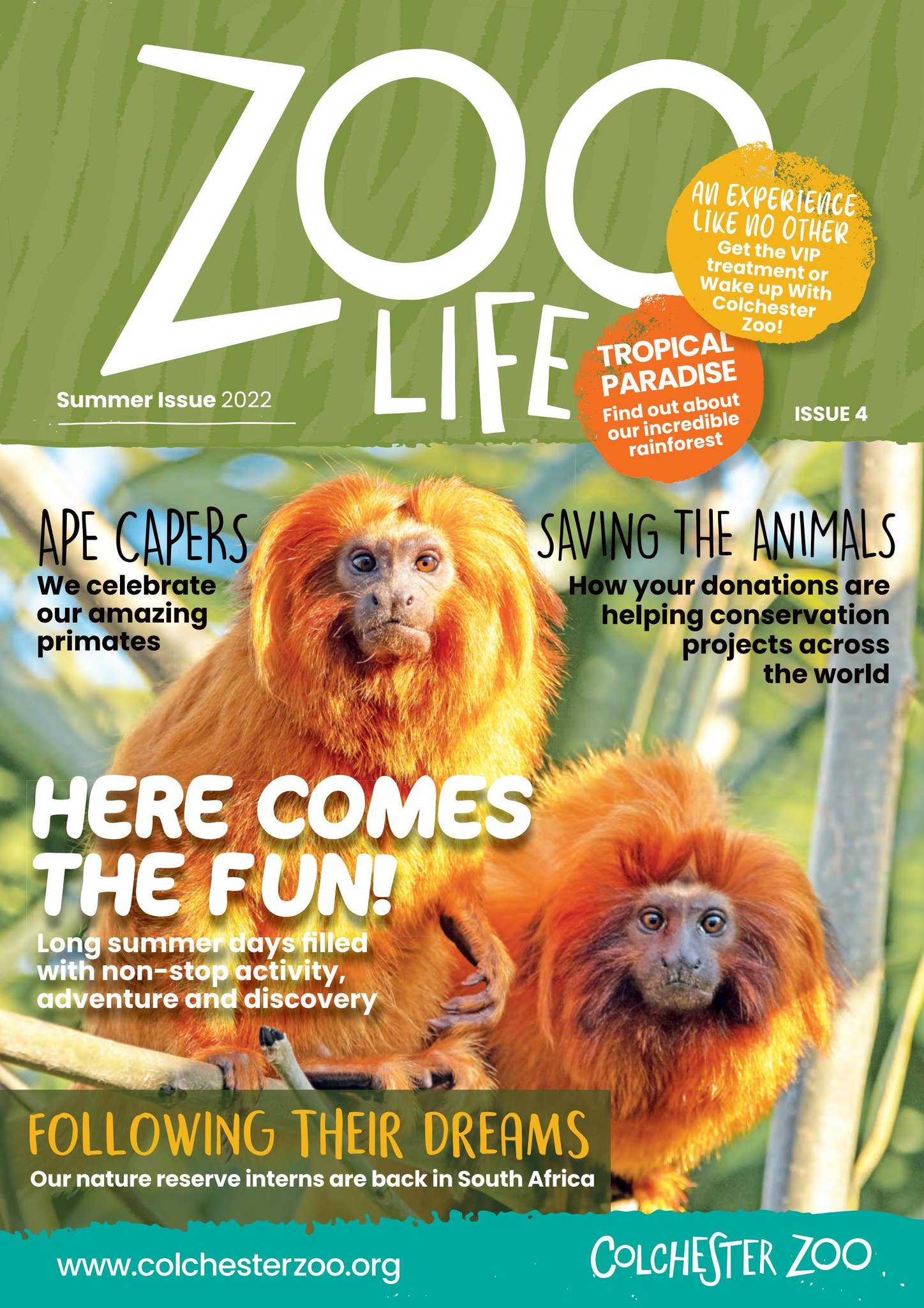 未開封品　ZOO　GOLDEN☆BEST　Special　Works 71Q7M0ea8oL._SY200_QL15_.jpg