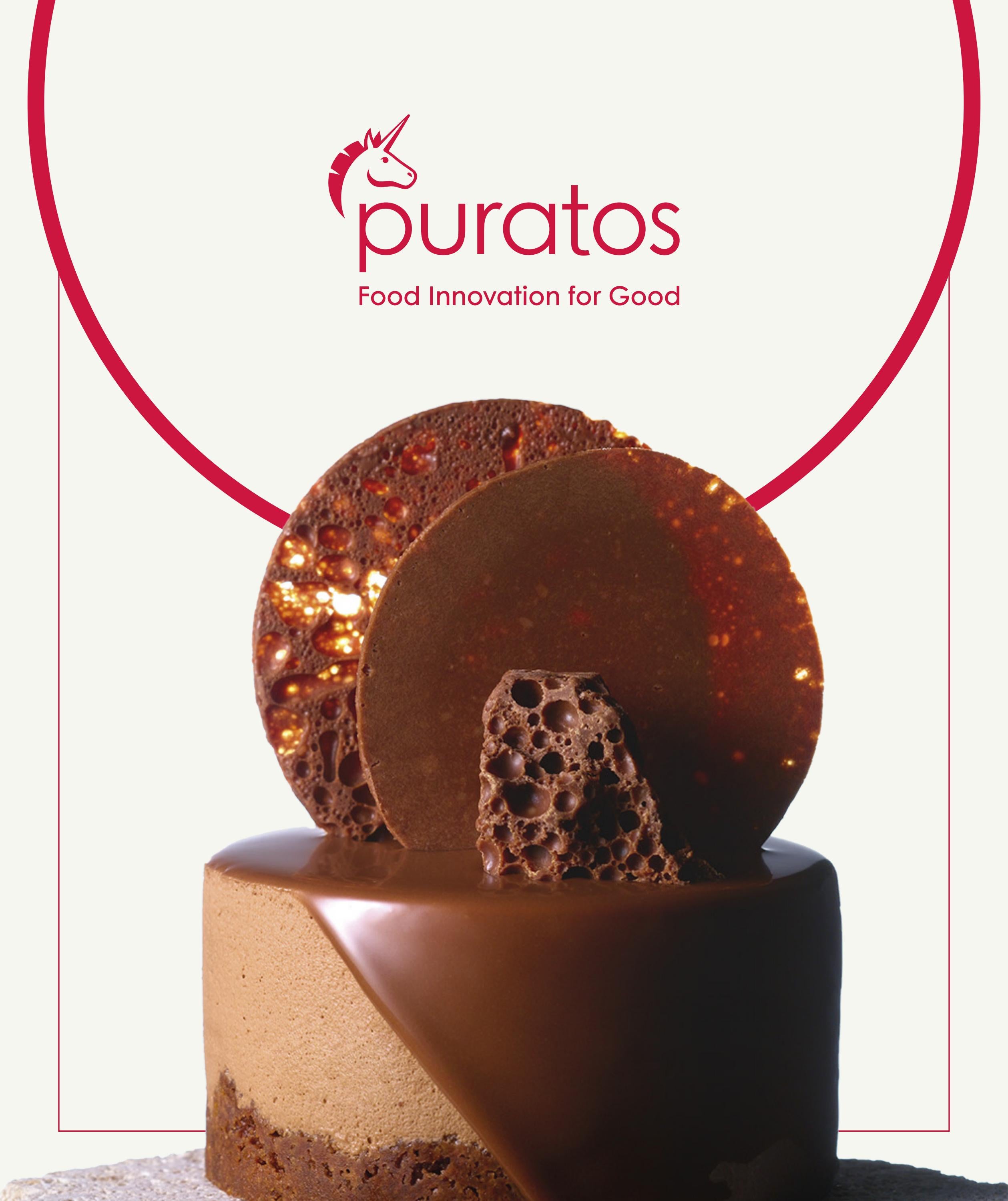 Puratos BBR Brochure by The Boston Business Review Issuu