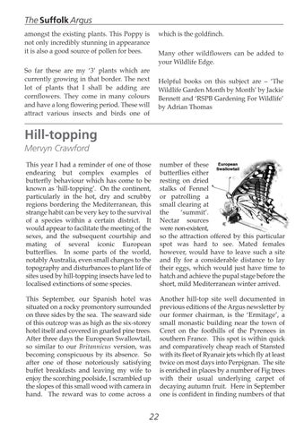 Page 22