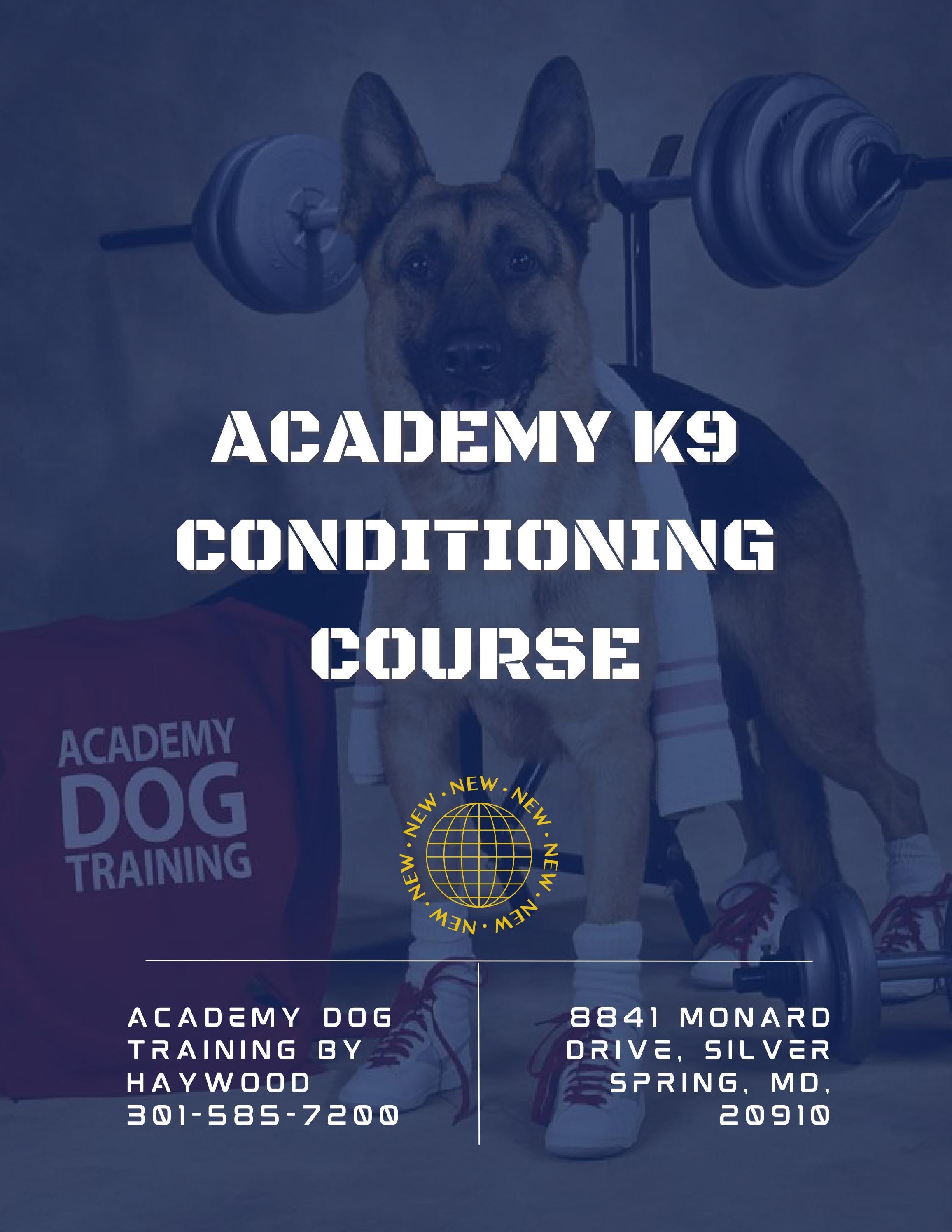 Academy K9 Conditioning Course by Academy Dog Training By Haywood Issuu
