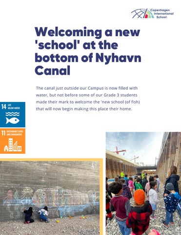 Copenhagen International School 灯饰目录 · Spotlights 期 4 - June 2022 第 17 页