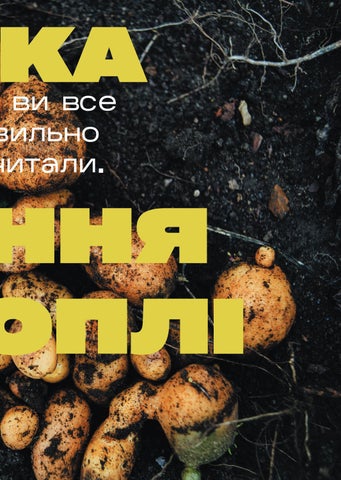 Українська музика 第 23 页