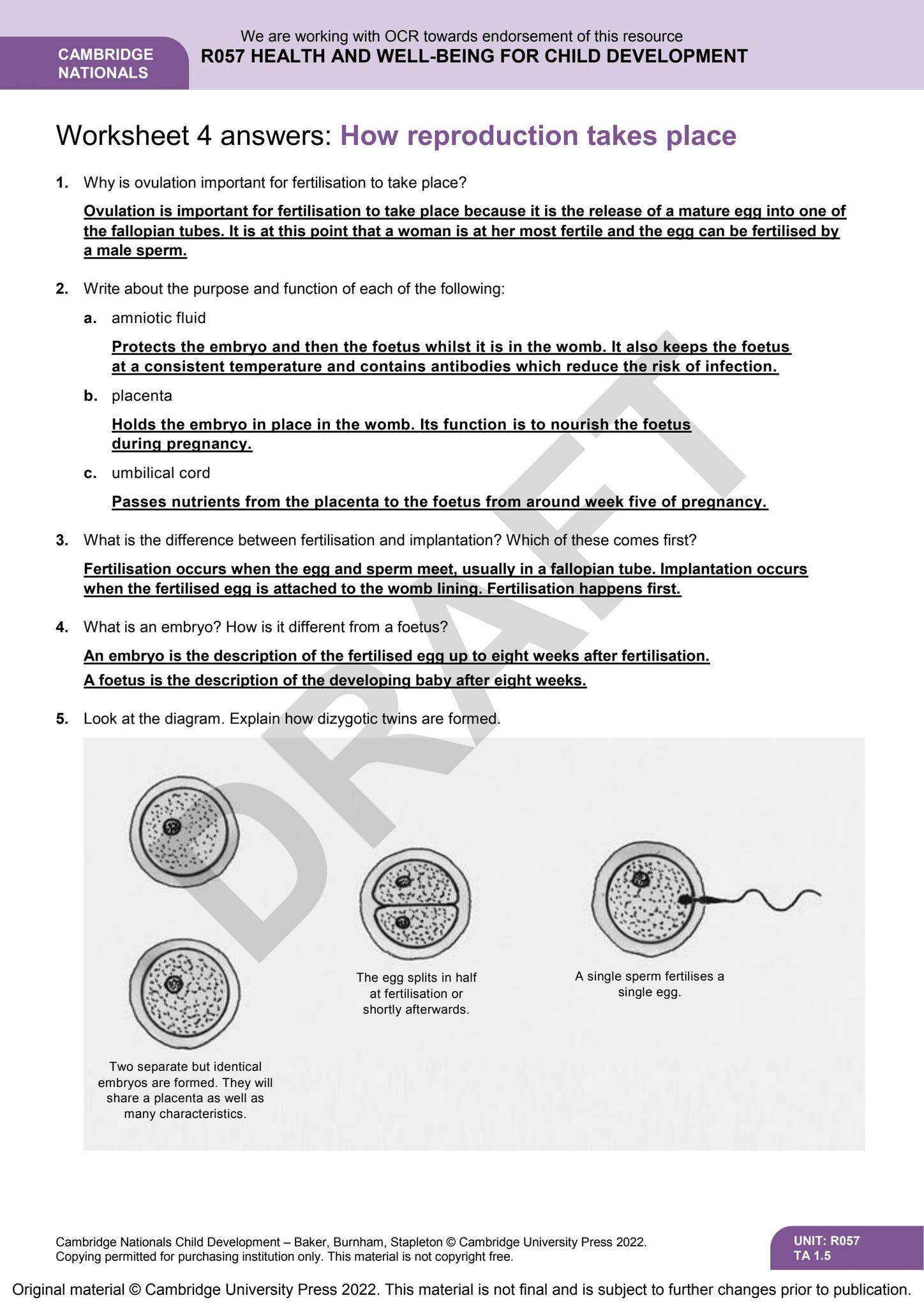 Cambridge Nationals Child Development Teacher Resource by Cambridge ...