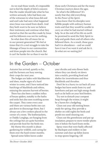 Page 13
