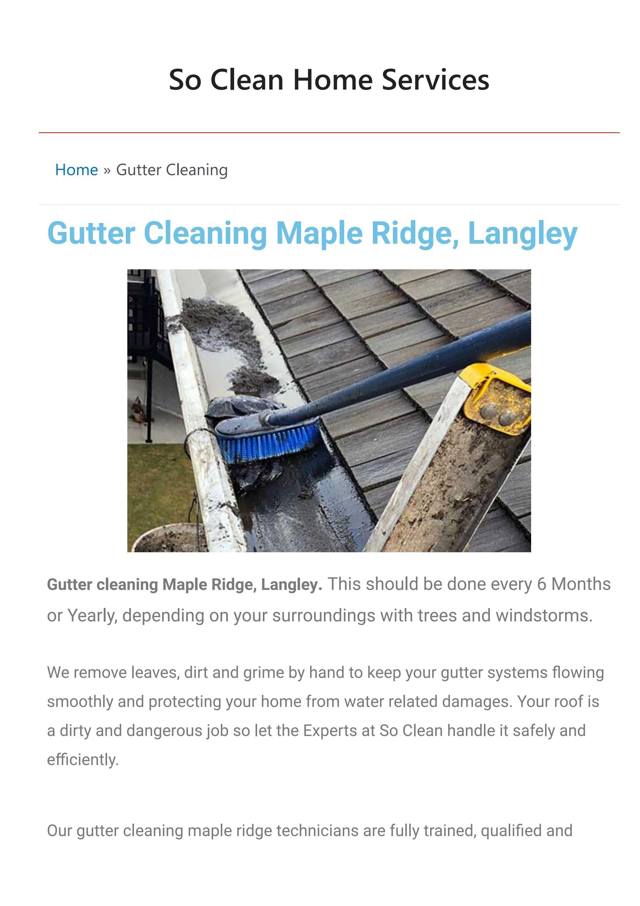 Gutter Cleaning Maple Ridge by Marco Toscano - Issuu