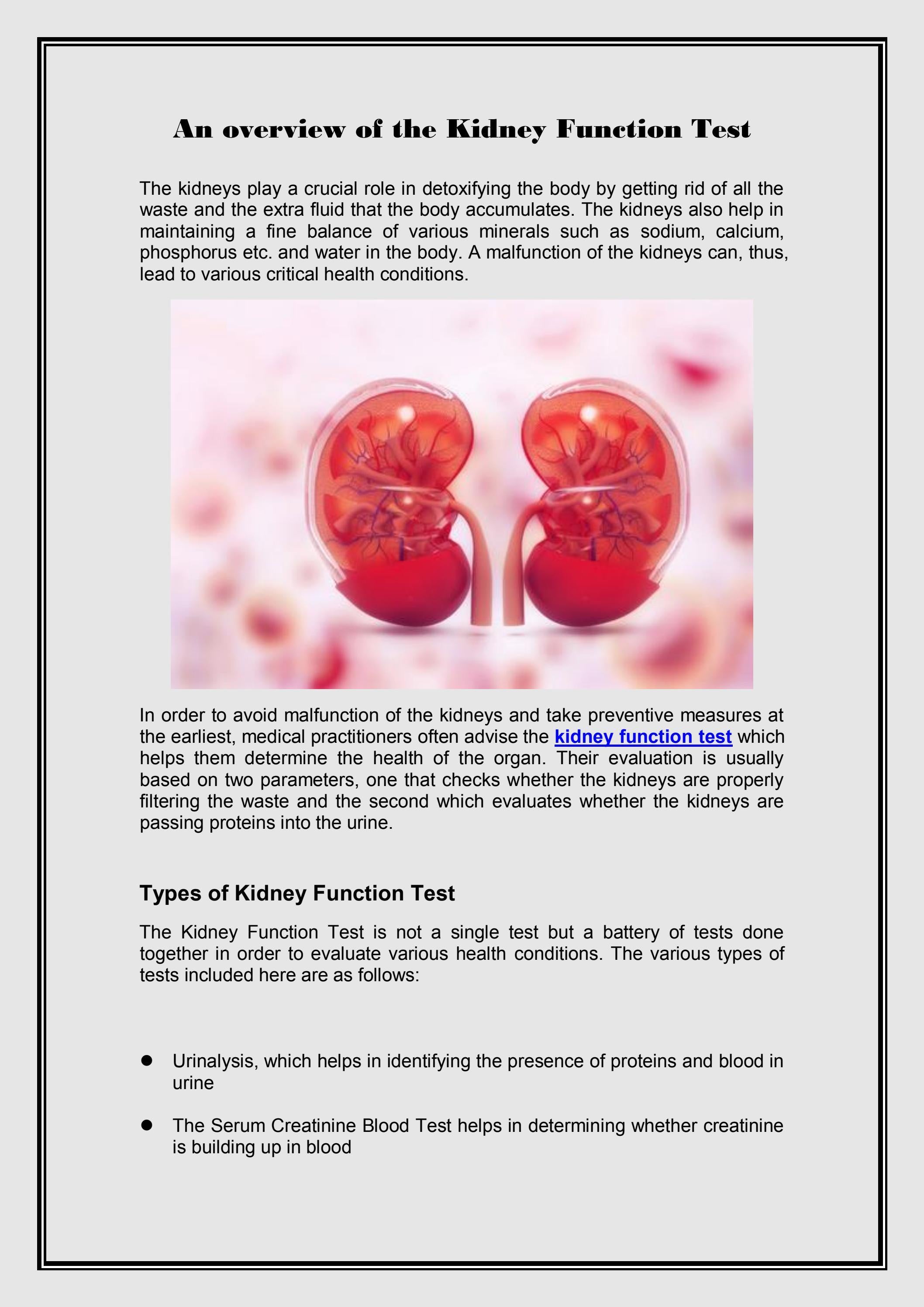 kidney function test research paper