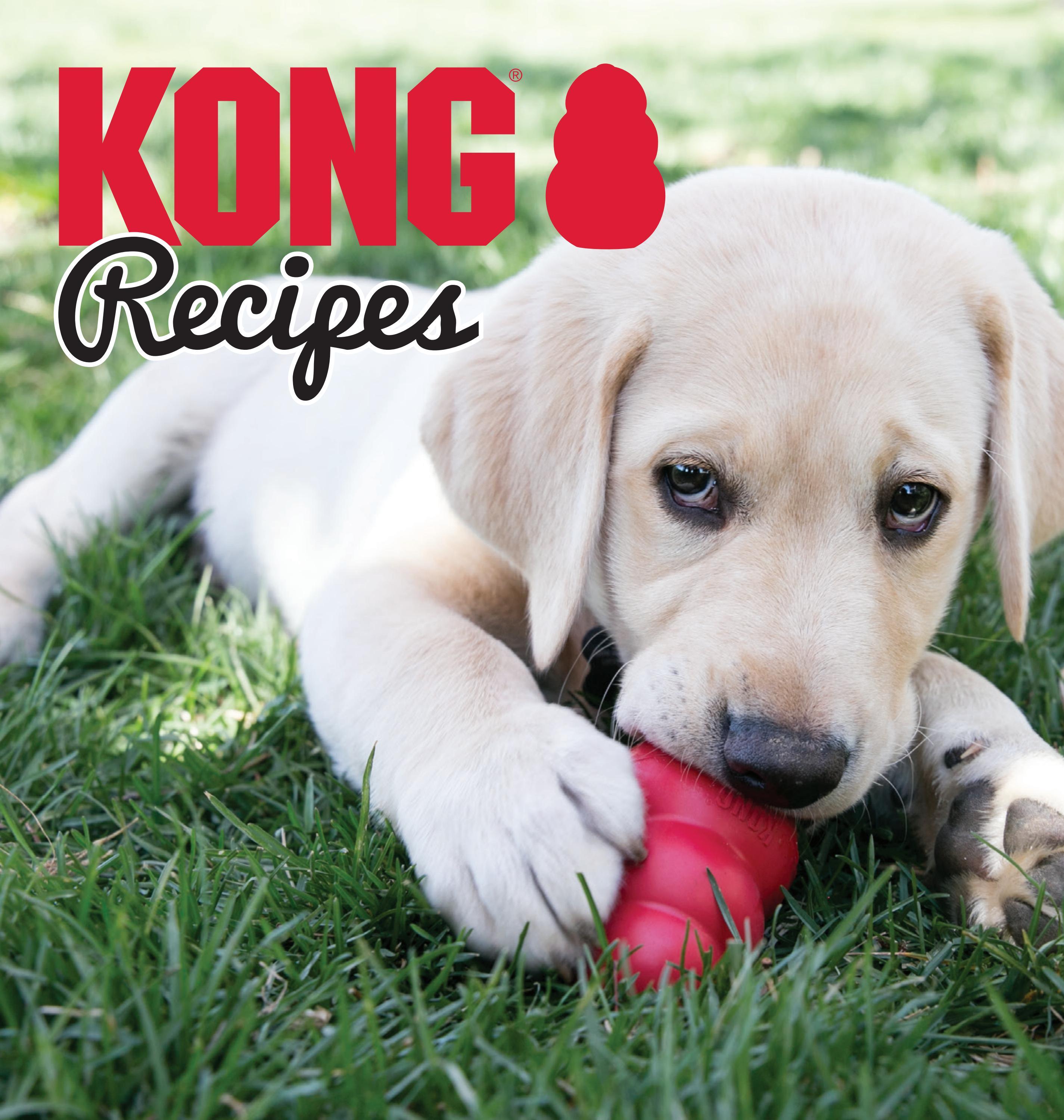 KONG Recipes Volume 1 by KONG Company Issuu