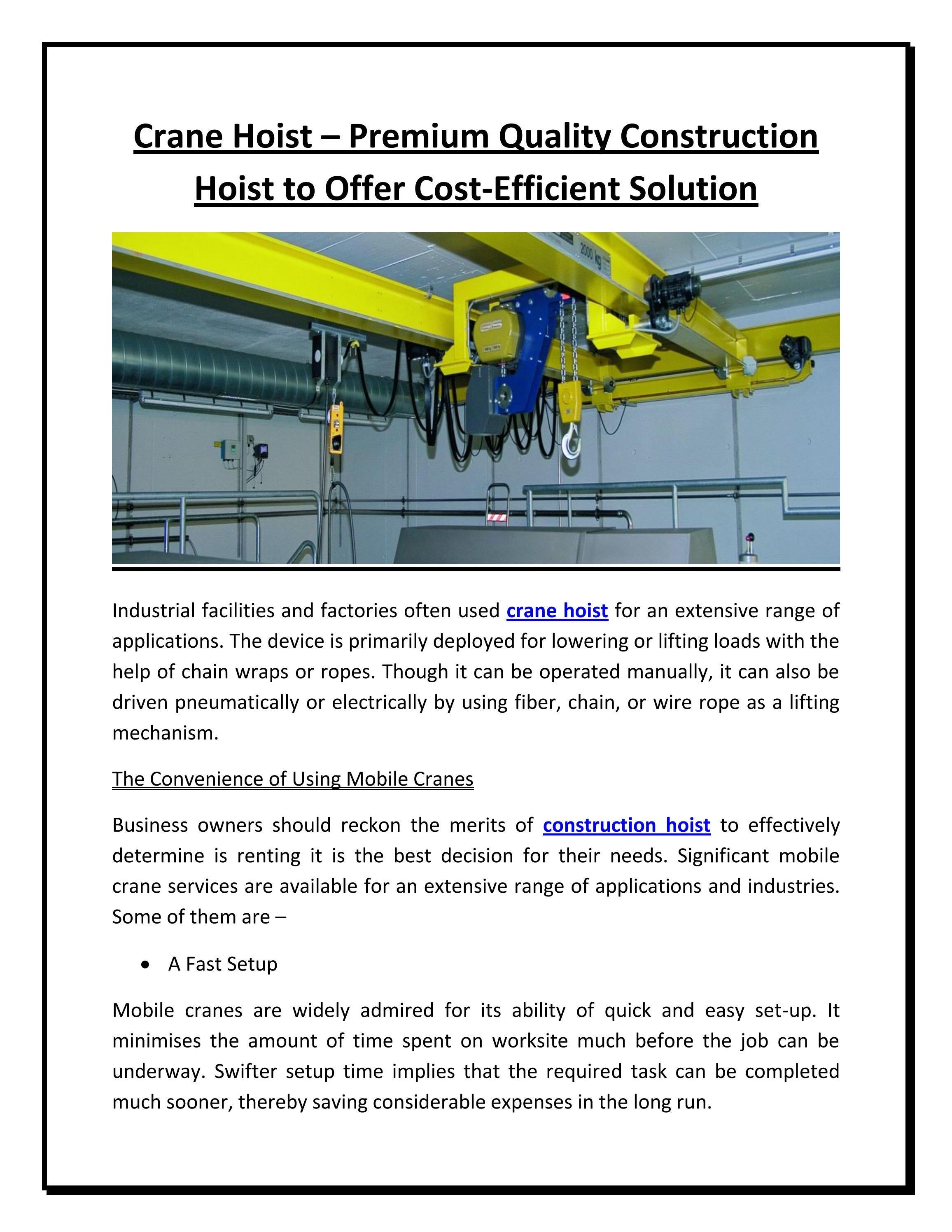 Crane Hoist Premium Quality Construction Hoist to Offer Cost