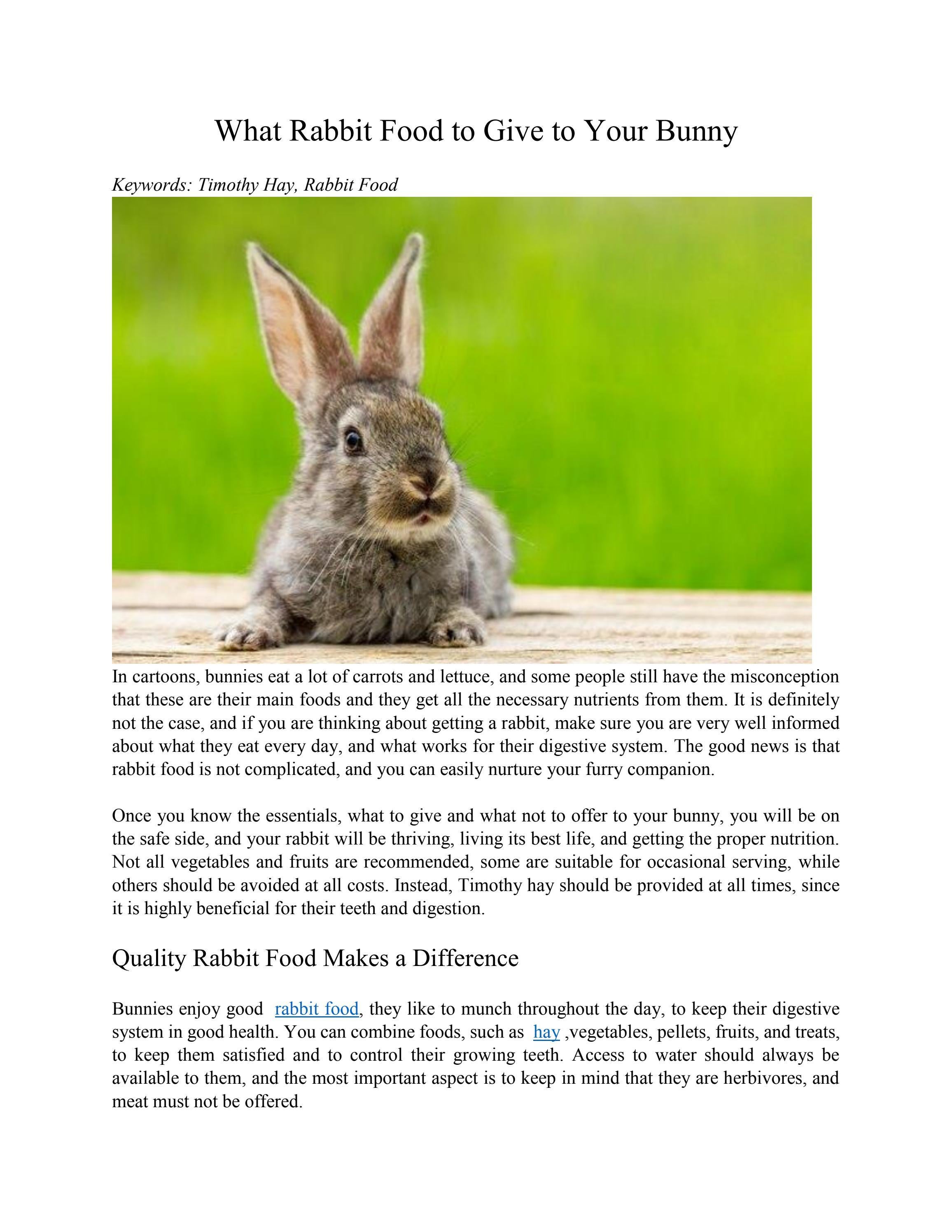 What Rabbit Food to Give to Your Bunny by AngelaParker3 Issuu