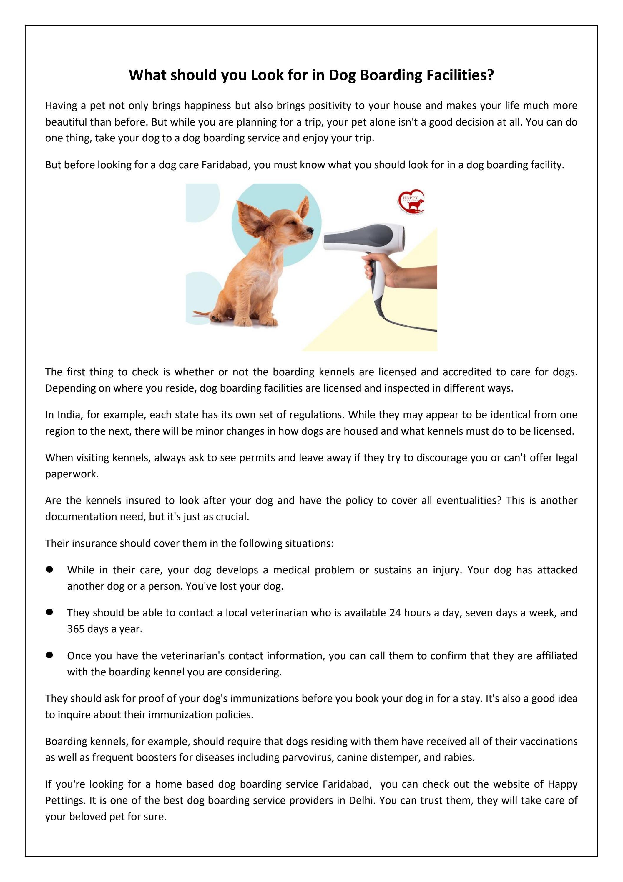 Is Boarding Good For Dogs