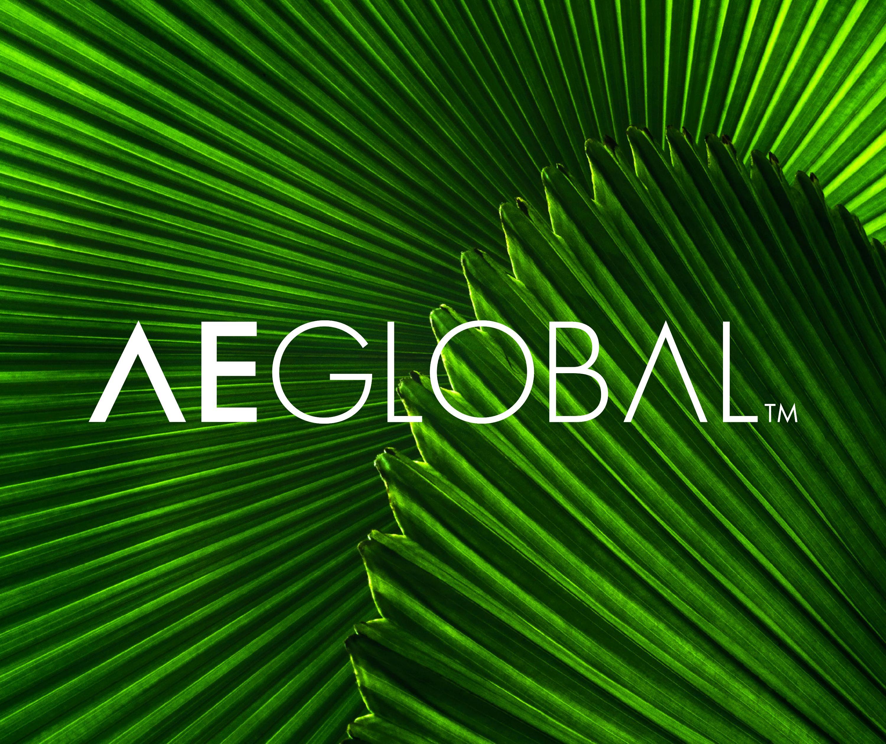 AE Global Flipbook by AEGlobal - Issuu