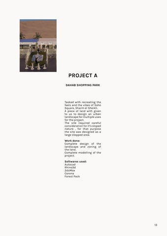 Graphic Portfolio 第 13 页