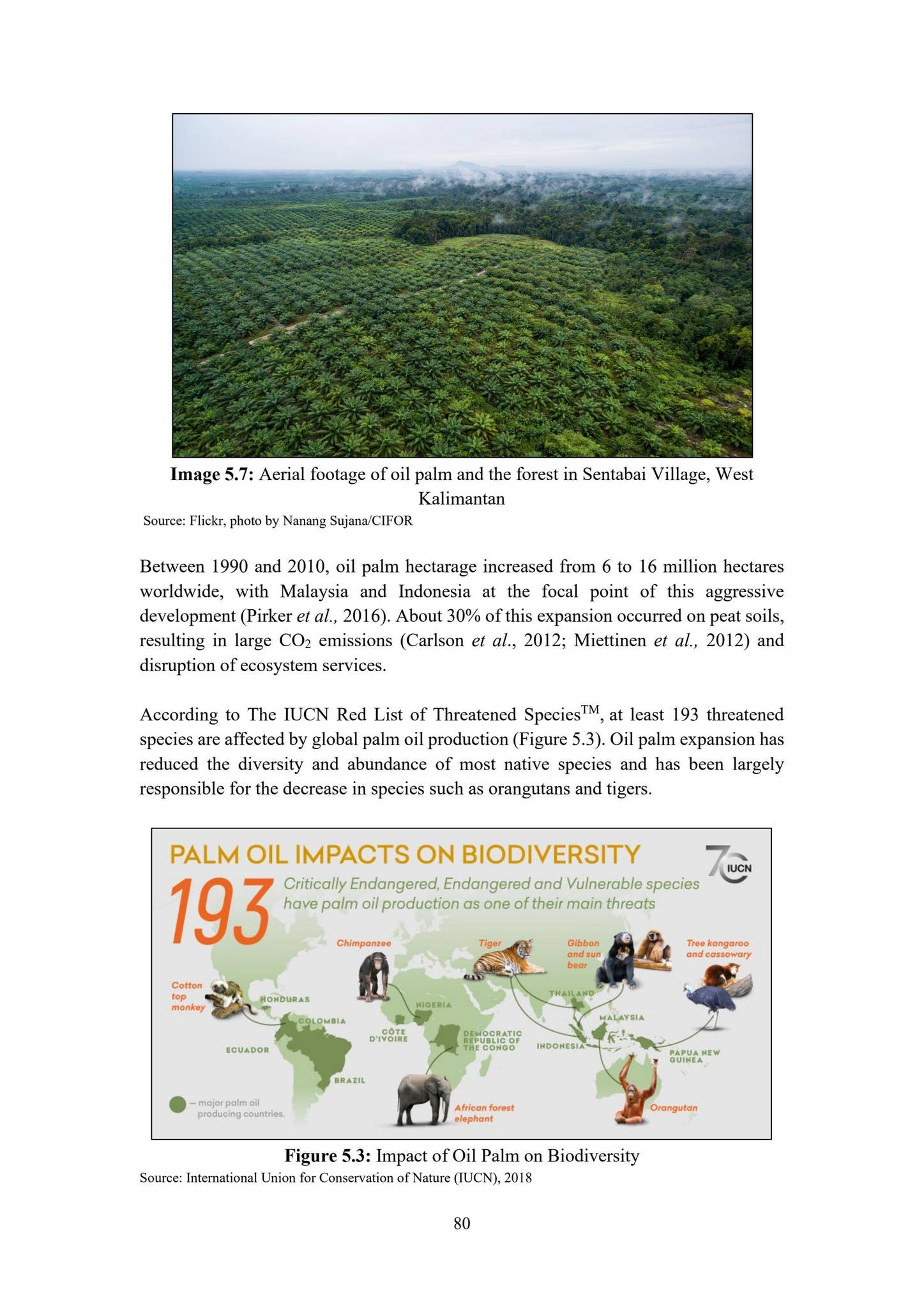 THE NEXUS OF BIODIVERSITY CONSERVATION AND SUSTAINABLE SOCIOECONOMIC ...