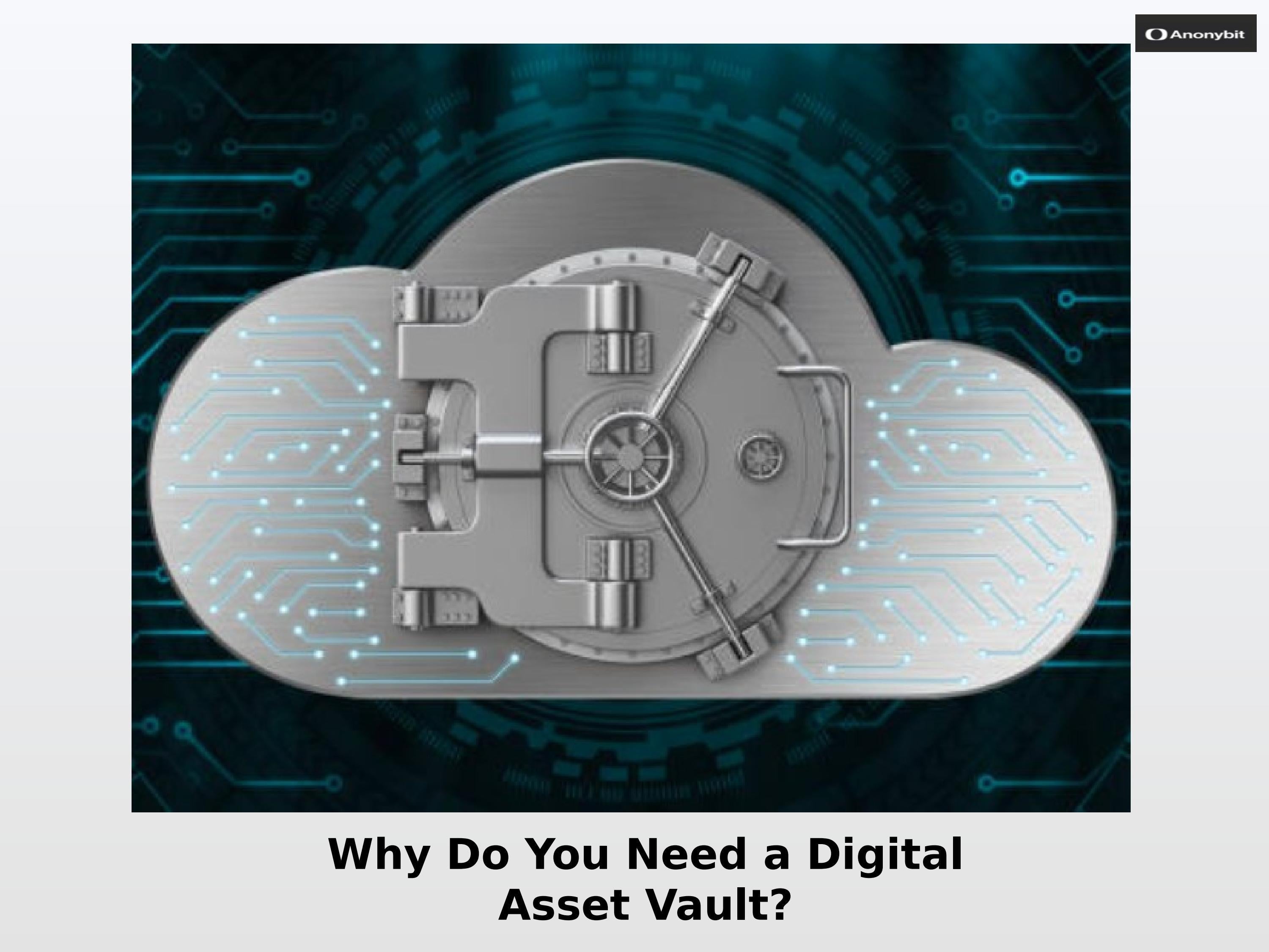 Why do you need a Digital Asset Vault? by Sarah Lee Issuu