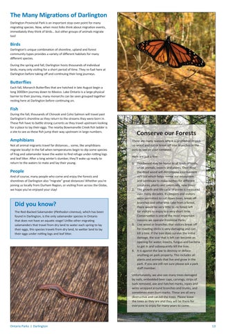 Darlington Provincial Park Info 指南 2022 第 13 页