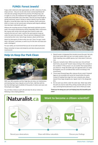 Darlington Provincial Park Info 指南 2022 第 14 页
