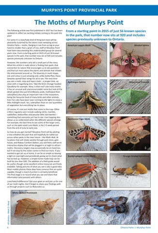 Murphys Point Provincial Park Info 指南 2022 第 4 页