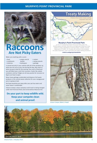 Murphys Point Provincial Park Info 指南 2022 第 5 页