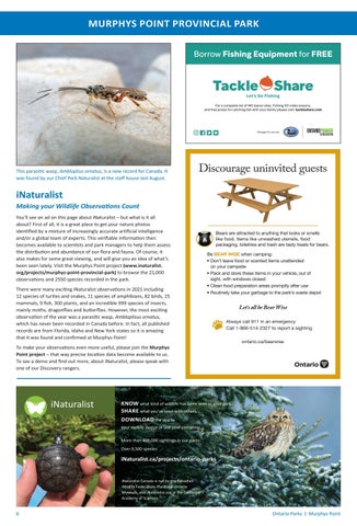 Murphys Point Provincial Park Info 指南 2022 第 6 页