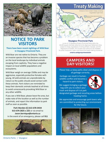 Voyageur Provincial Park Info 指南 2022 第 11 页