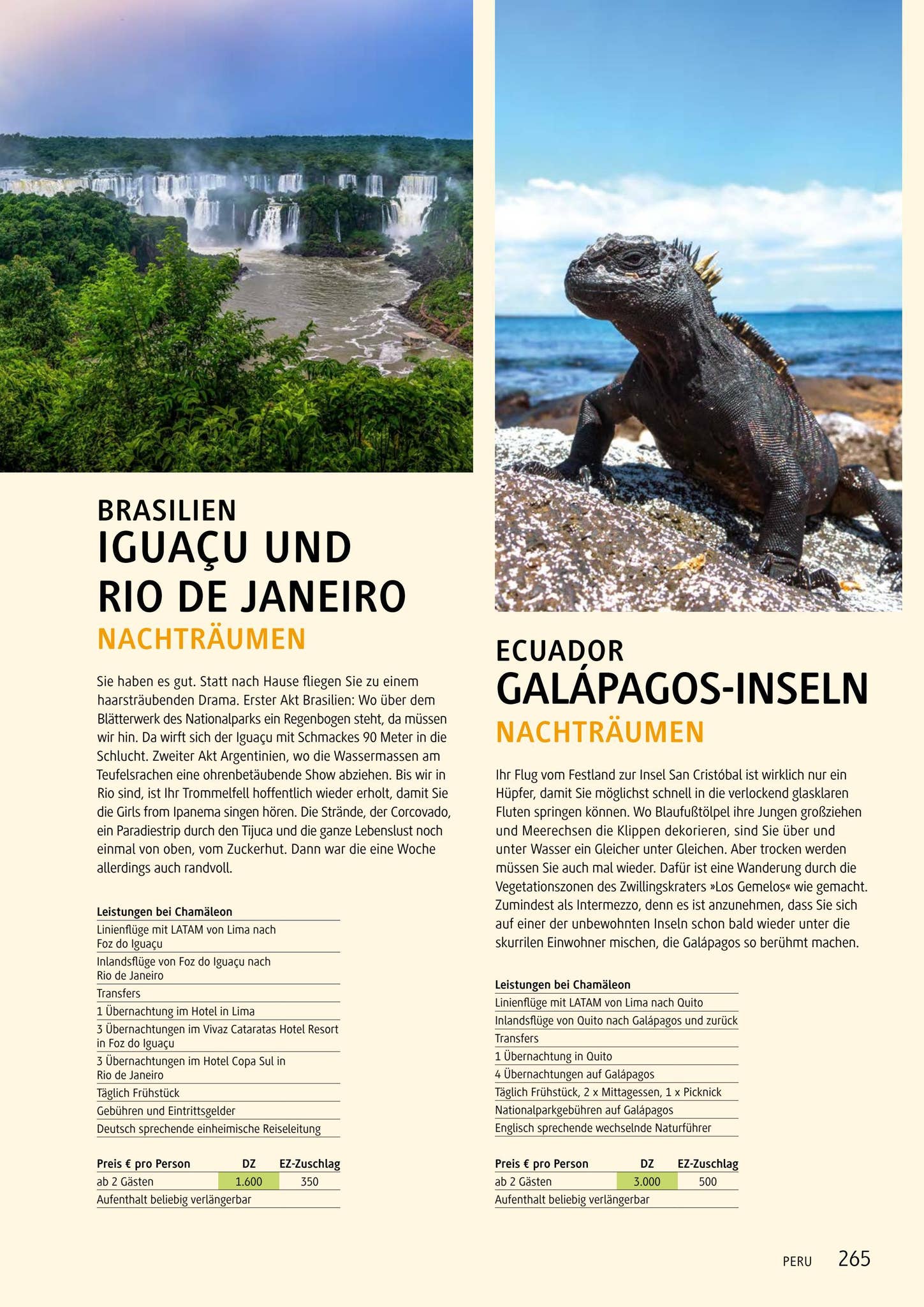 Chamäleon Katalog 2023 by Chamäleon Issuu
