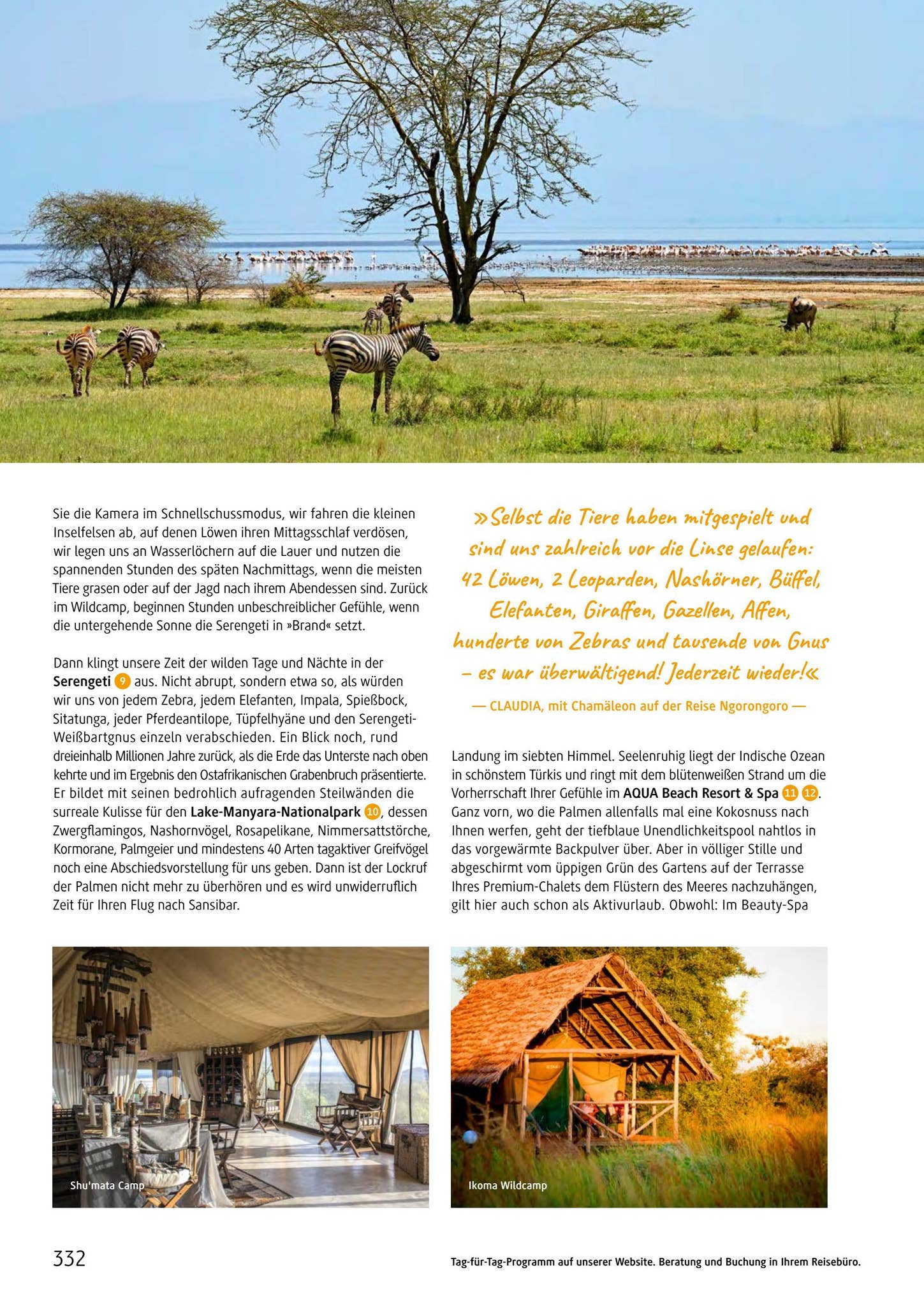 Chamäleon Katalog 2023 by Chamäleon Issuu