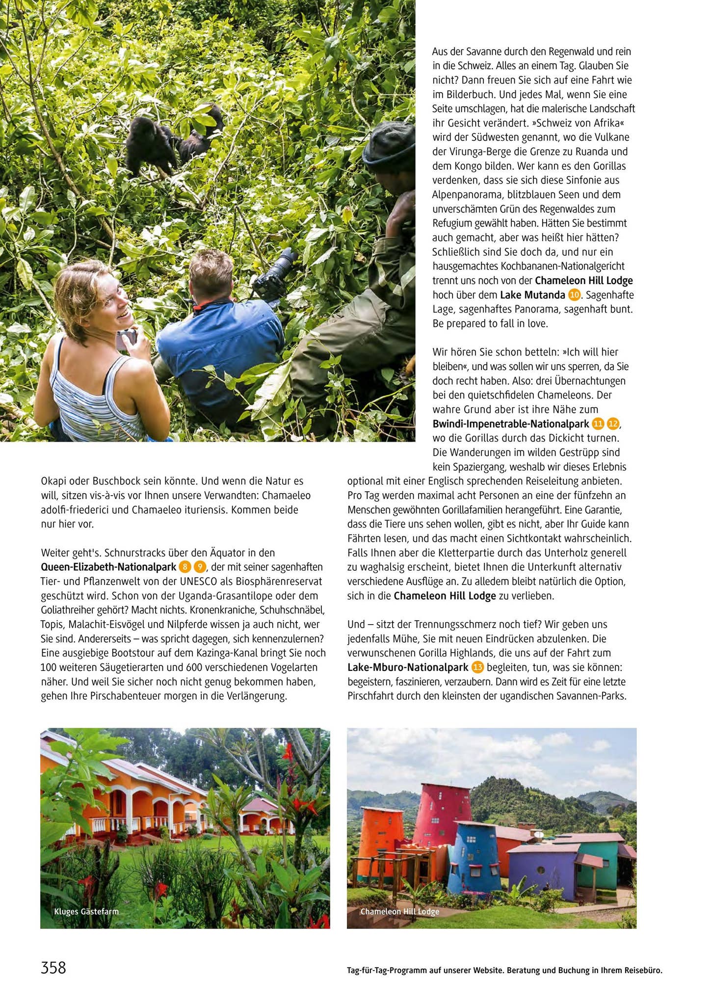 Chamäleon Katalog 2023 by Chamäleon Issuu
