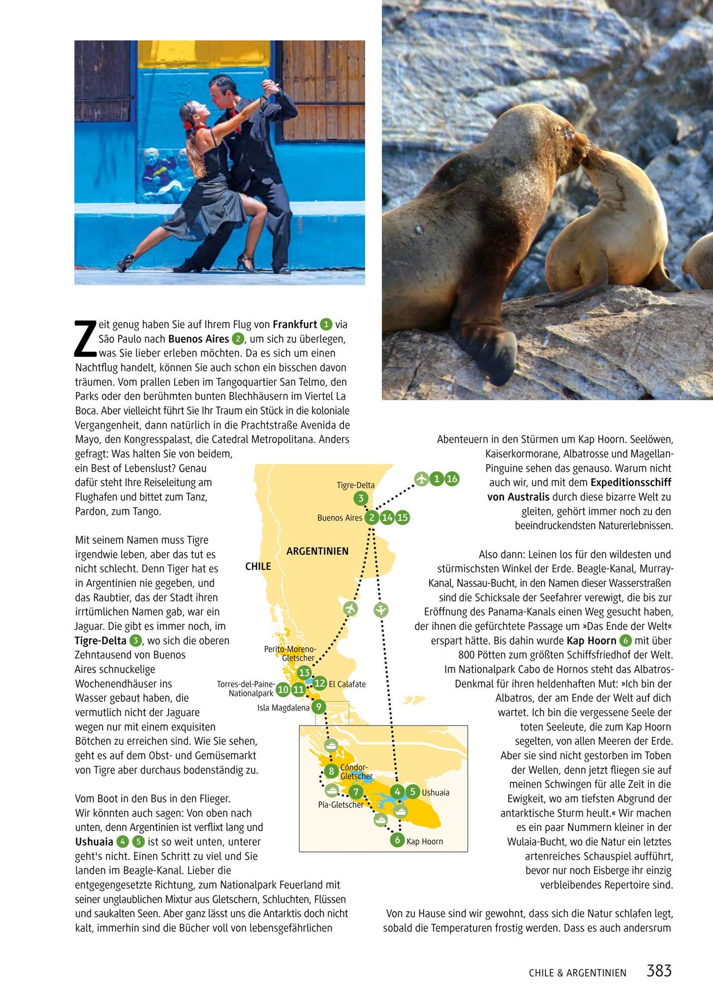 Chamäleon Katalog 2023 by Chamäleon Issuu