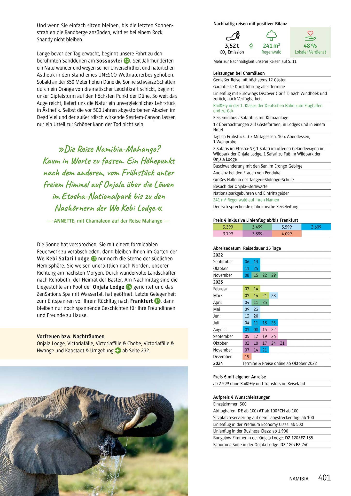 Chamäleon Katalog 2023 by Chamäleon Issuu