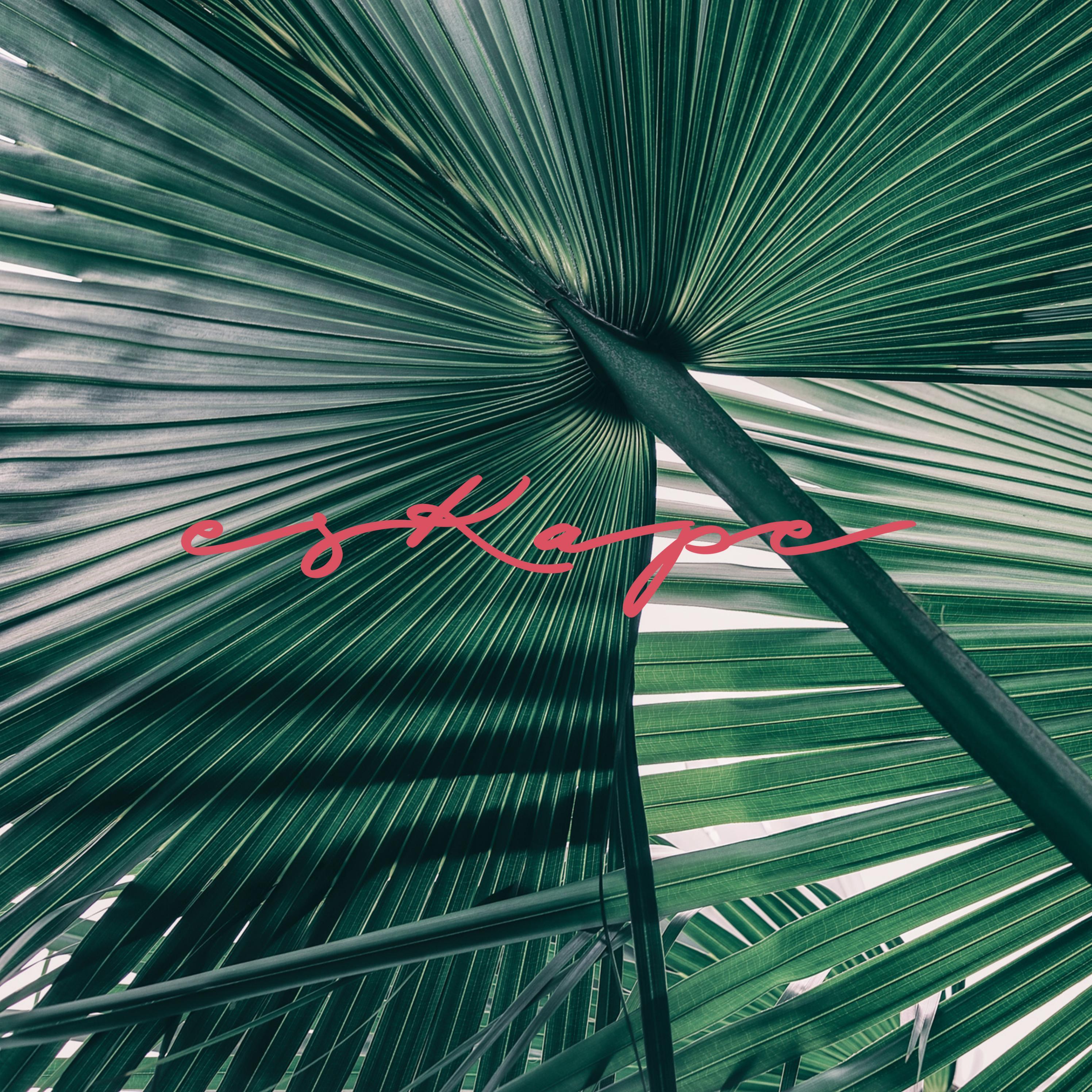 eskape-spa-by-novamaldives-issuu