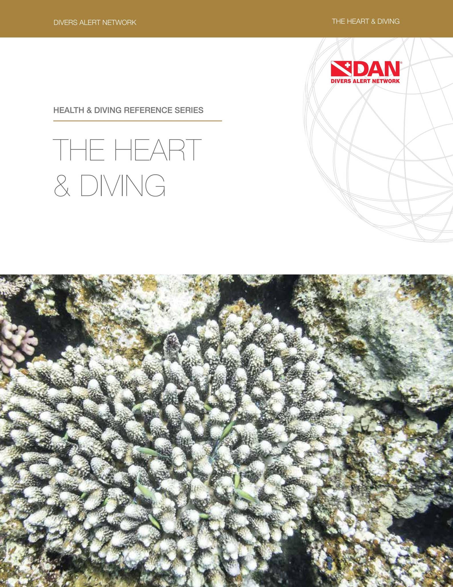 The Heart & Diving Guide by DAN Southern Africa - Issuu