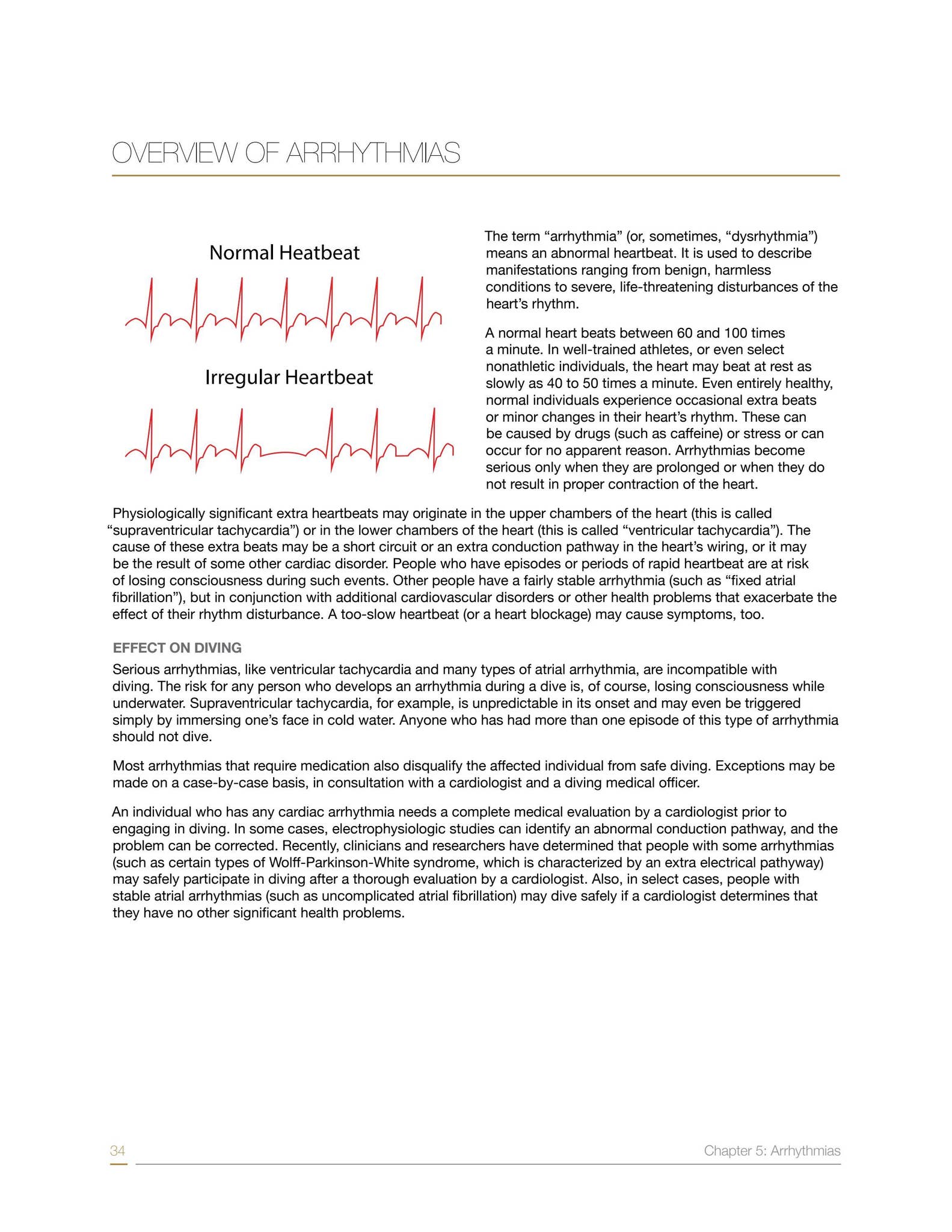 The Heart & Diving Guide by DAN Southern Africa - Issuu
