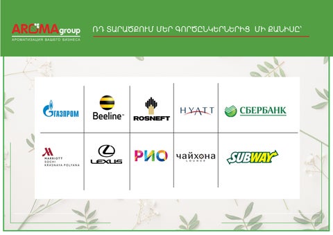 AROMAgroup - профессиональная ароматизация 第 12 页
