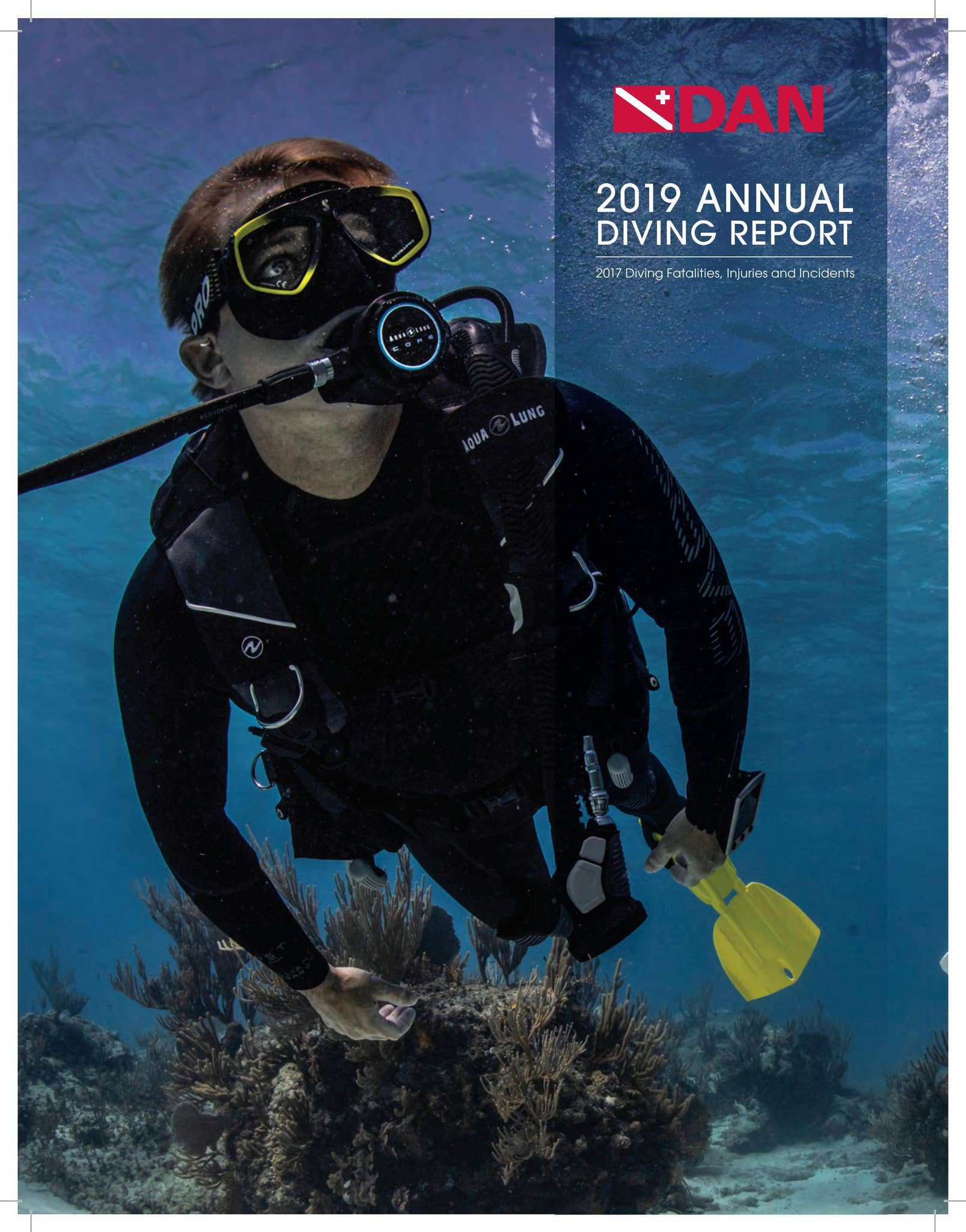 Annual Diving Report 2019 by DAN Southern Africa - Issuu