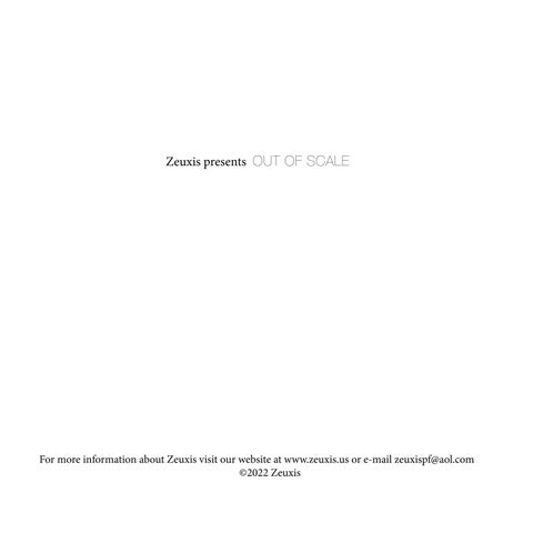 Zeuxis: Out of Scale 第 4 页