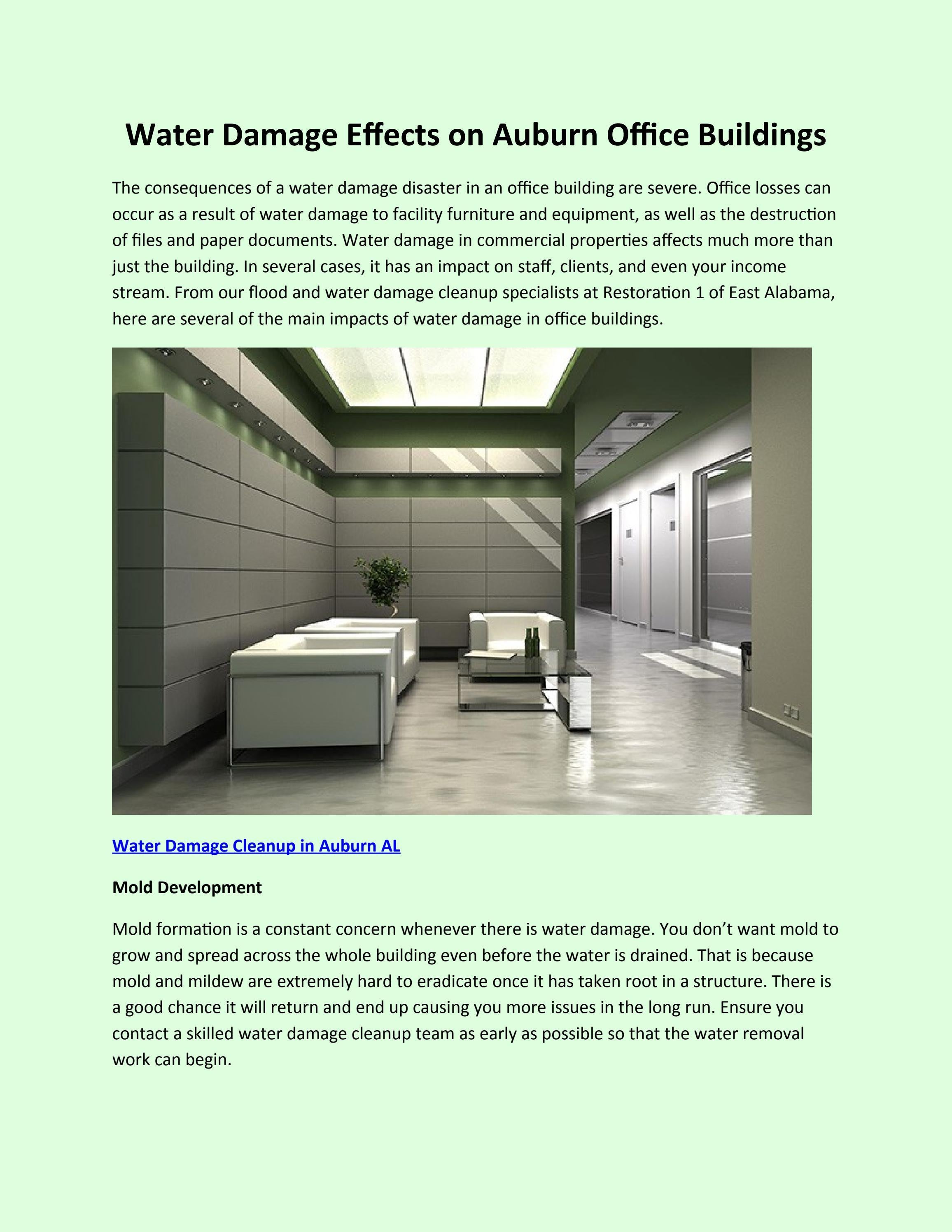 Water Damage Effects on Auburn Office Buildings by Restoration 1 of
