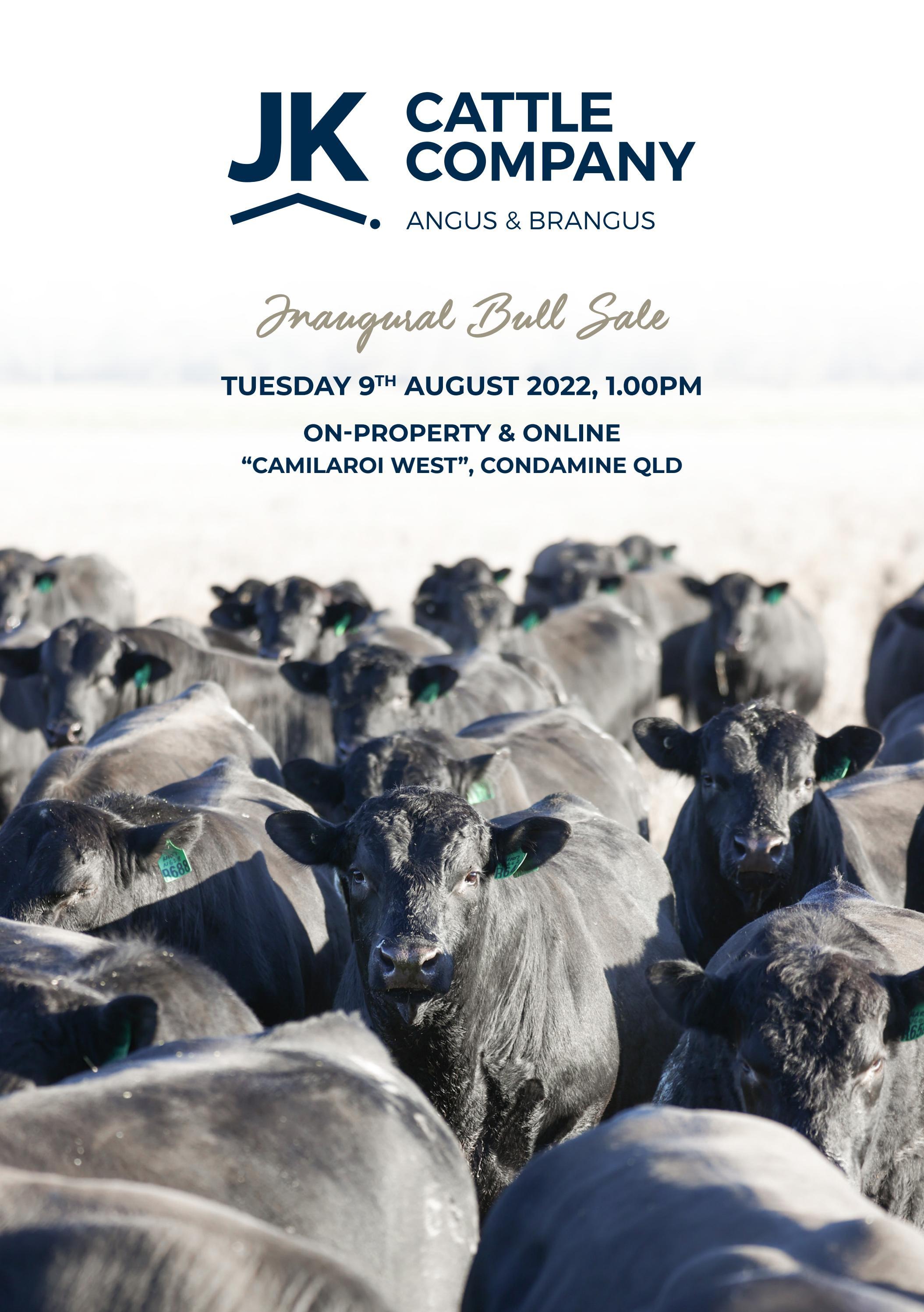 JK Cattle Company Bull Sale Catalogue 2022 by JK Cattle Company Issuu