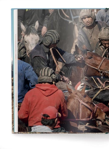 ACC Art Books 灯饰目录 · Human Playground 第 2 页