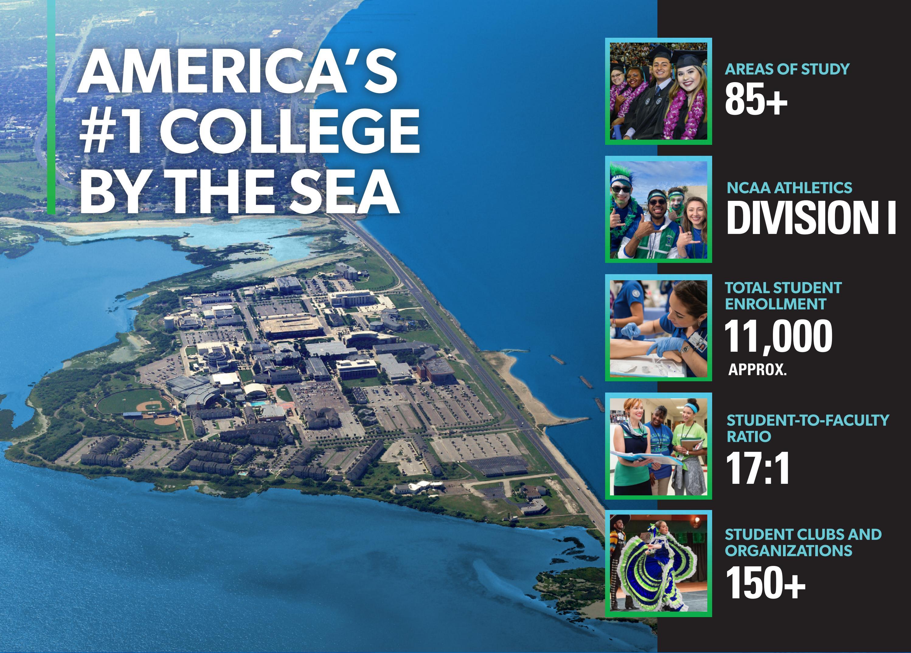 20222023 Search Piece by Texas A&M UniversityCorpus Christi Issuu