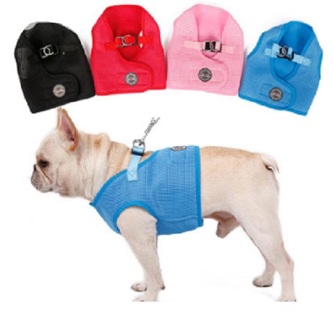 ULS-MART.COM 家具目录 · P-01 | Pet Supplies | | ulsmart2022@gmail.com 第 10 页