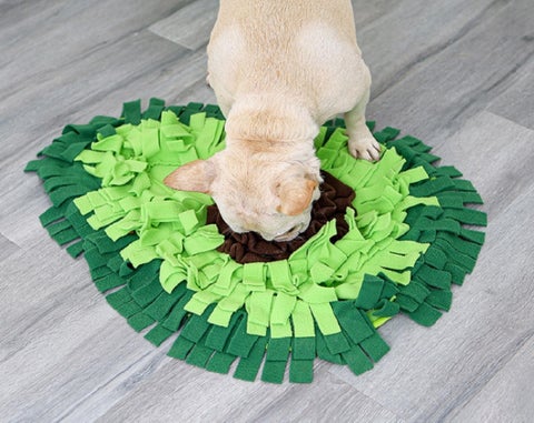 ULS-MART.COM 家具目录 · P-01 | Pet Supplies | | ulsmart2022@gmail.com 第 15 页