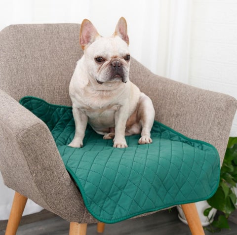ULS-MART.COM 家具目录 · P-01 | Pet Supplies | | ulsmart2022@gmail.com 第 18 页