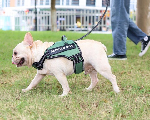 ULS-MART.COM 家具目录 · P-01 | Pet Supplies | | ulsmart2022@gmail.com 第 21 页